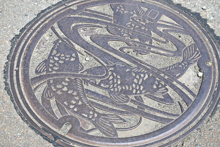 Z63_0530.JPG