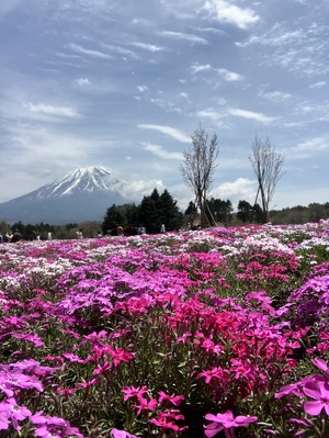 IMG_3029.jpeg