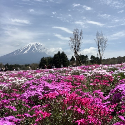 IMG_3029.jpeg