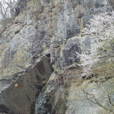 IMGP0922.JPG