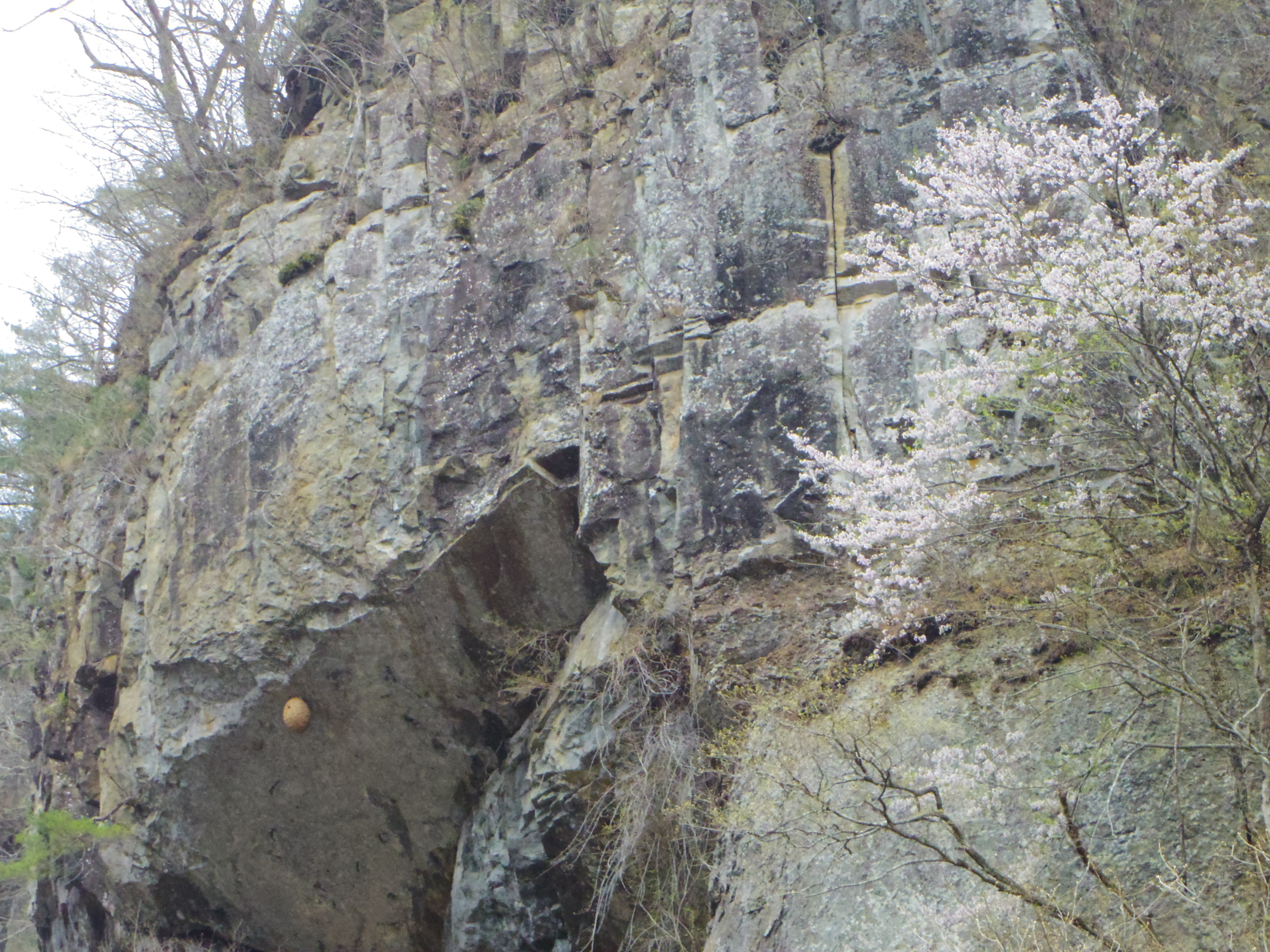 IMGP0922.JPG