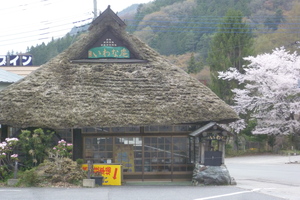 P1080260.JPG