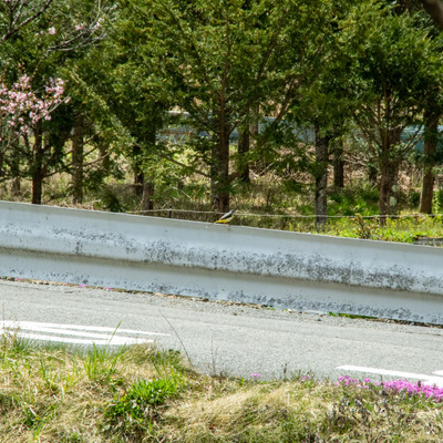 IMGP2635.jpg