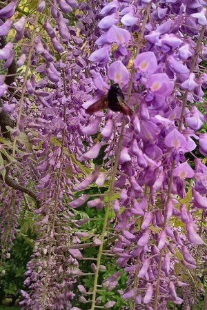 IMG_20260419_130318599_HDR_3.jpg