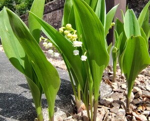 260420135417195_2.JPG
