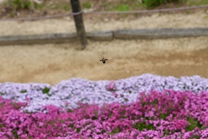 DSC05814.jpeg