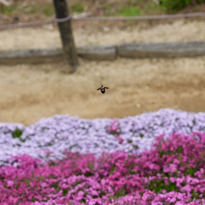 DSC05814.jpeg
