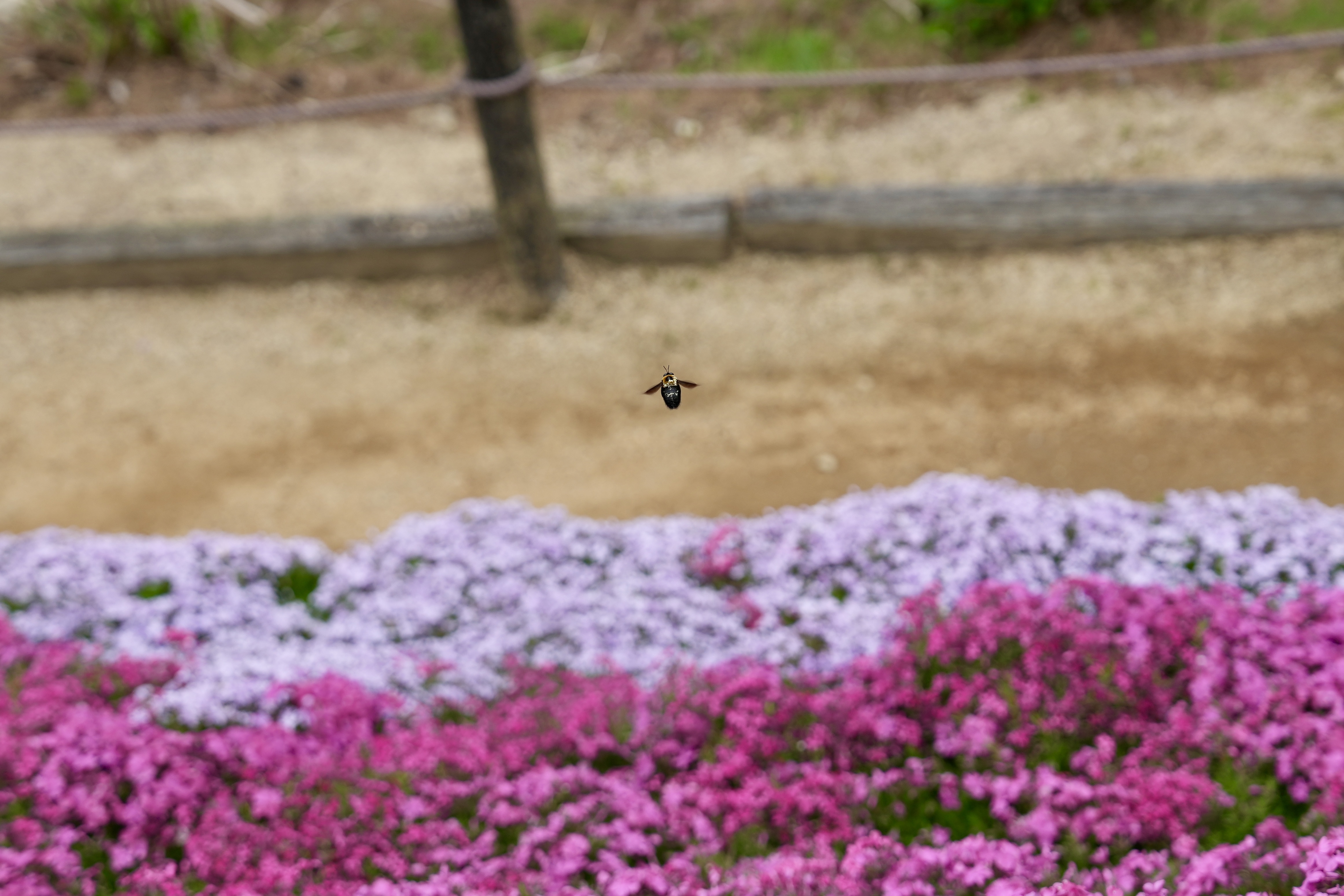 DSC05814.jpeg