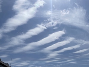 8F529A05-2ED0-4AA5-A911-7D5803E9E30D.jpeg