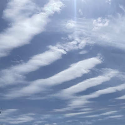 8F529A05-2ED0-4AA5-A911-7D5803E9E30D.jpeg