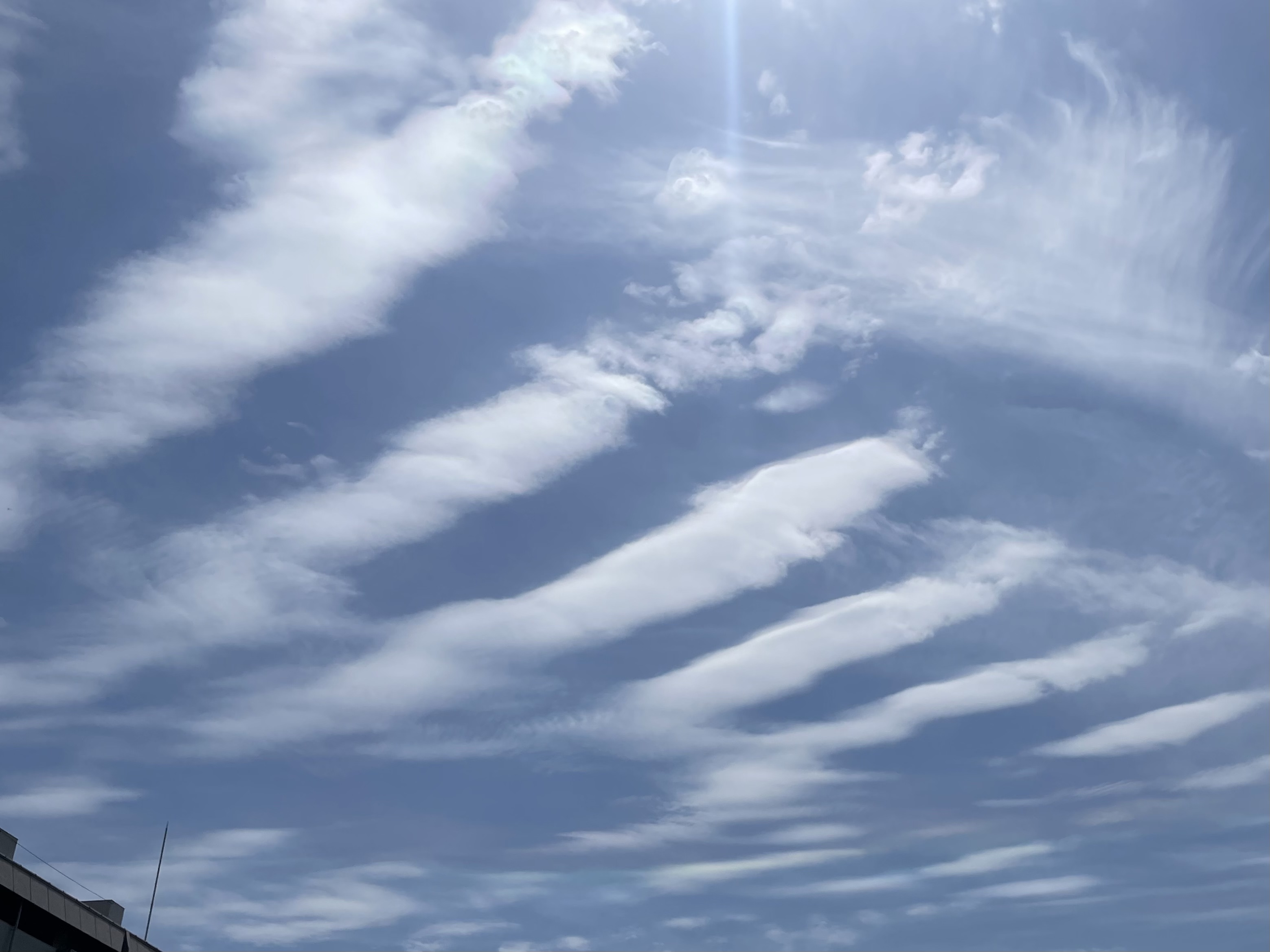 8F529A05-2ED0-4AA5-A911-7D5803E9E30D.jpeg
