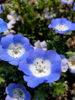 IMG20260328103149.jpg