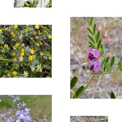 20260420_115930-COLLAGE.jpg