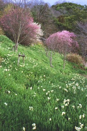 IMG_20260406_0006.jpg