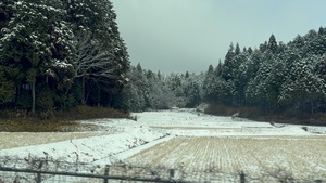 IMG_7583.jpeg