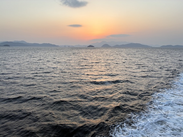 IMG_3564.jpeg
