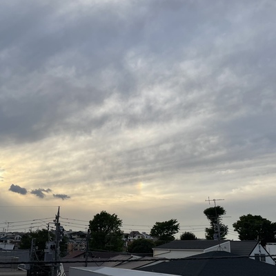 87B2532C-1E00-424B-986E-26246622183C.jpeg