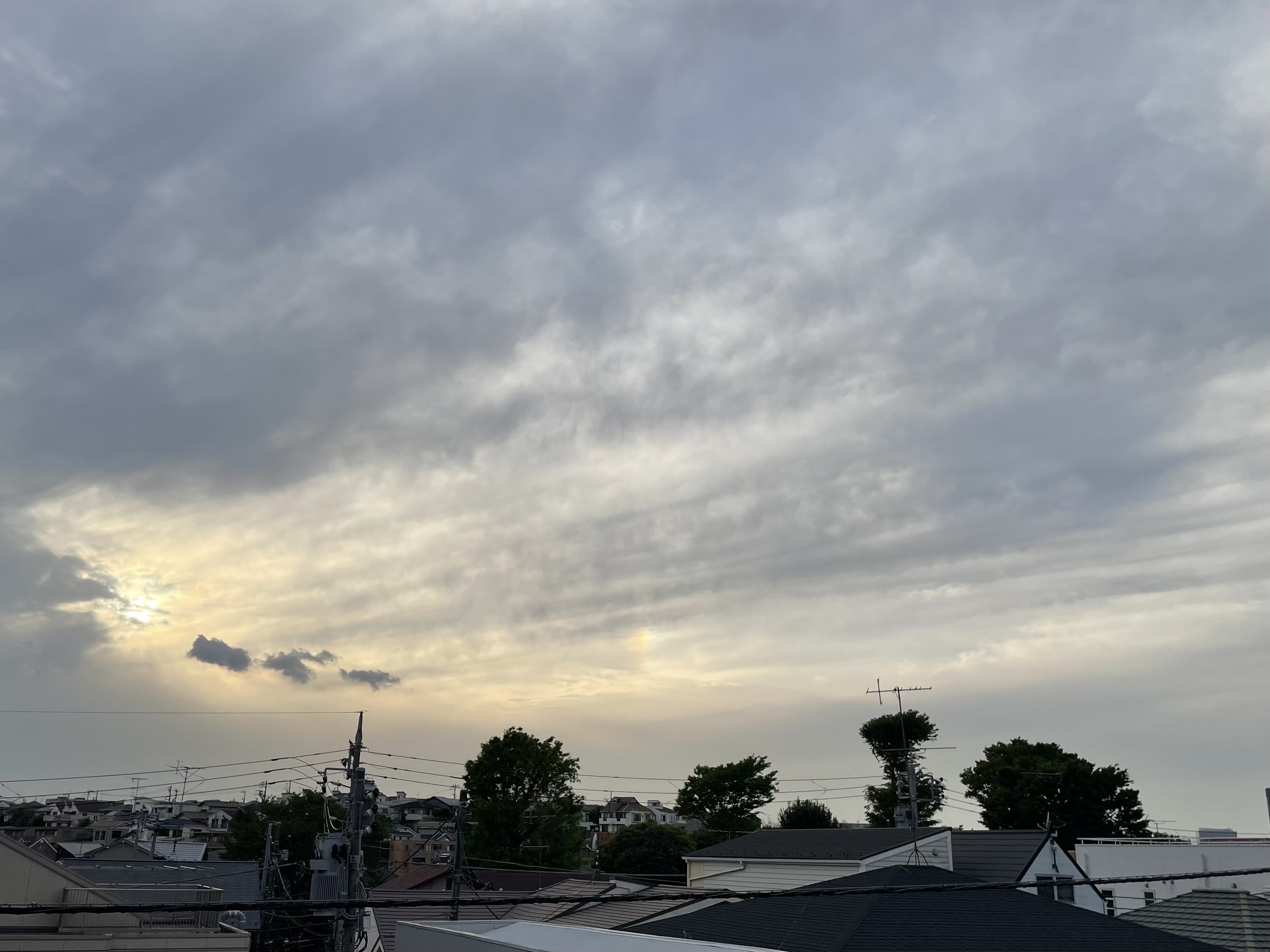 87B2532C-1E00-424B-986E-26246622183C.jpeg