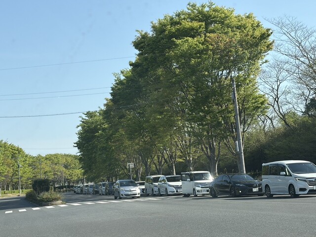 S__11919467.jpg