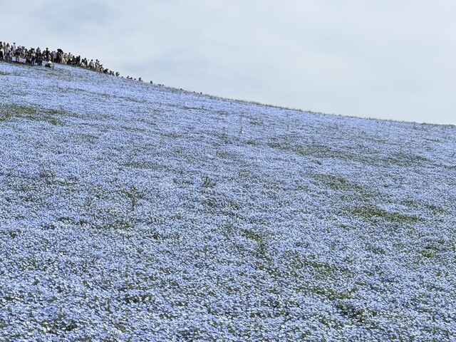 S__11935748.jpg