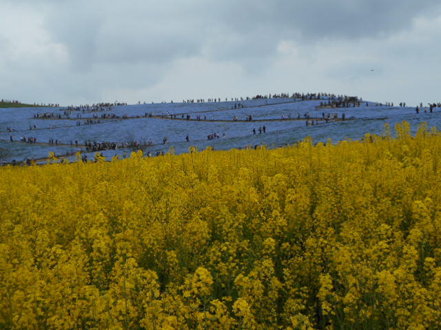 DSCN3075.JPG