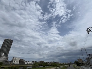 IMG_3074.jpeg