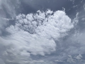 IMG_3075.jpeg