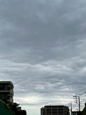 IMG_3069.jpeg