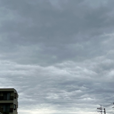 IMG_3069.jpeg