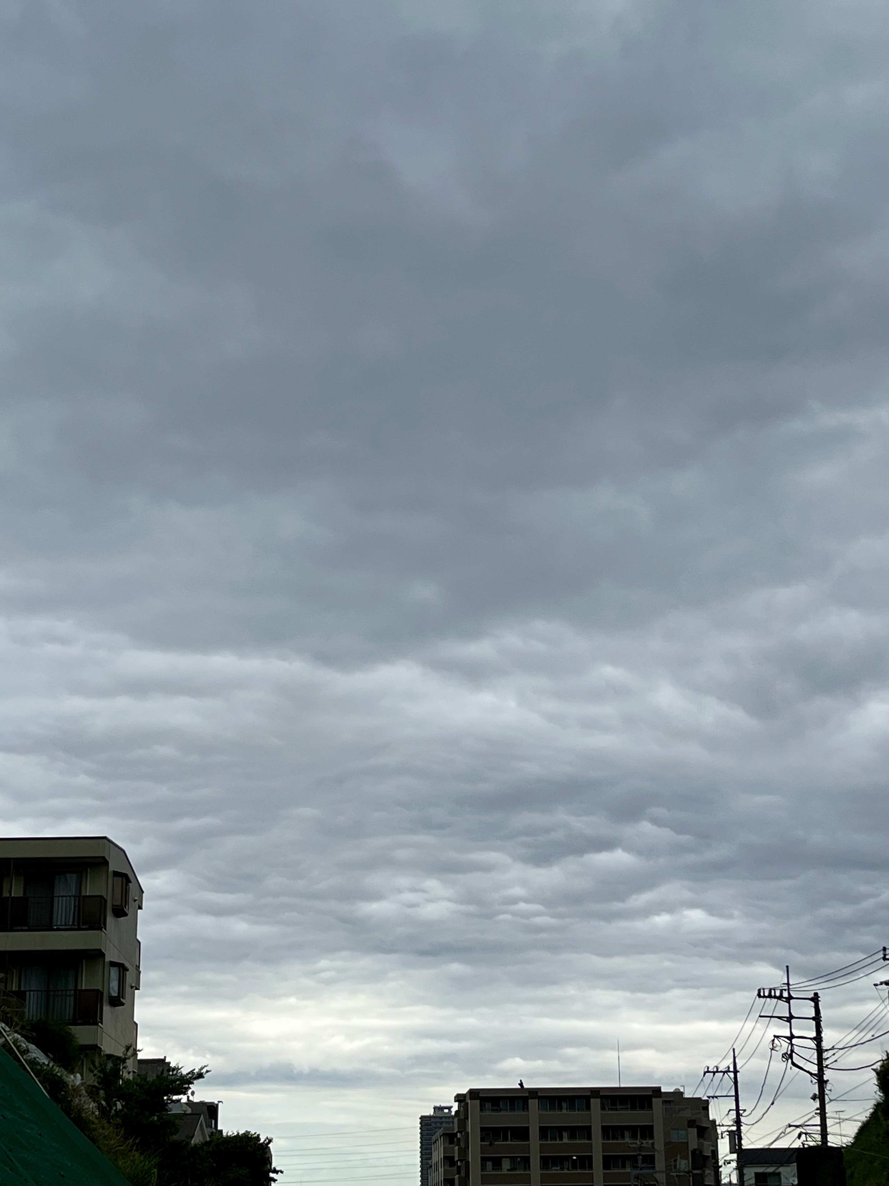IMG_3069.jpeg