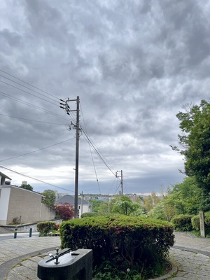 IMG_3071.jpeg