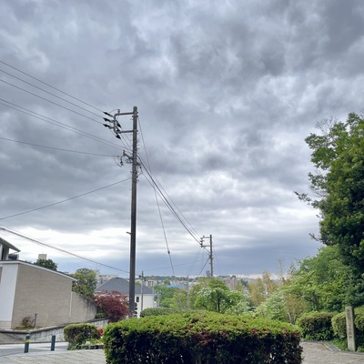 IMG_3071.jpeg
