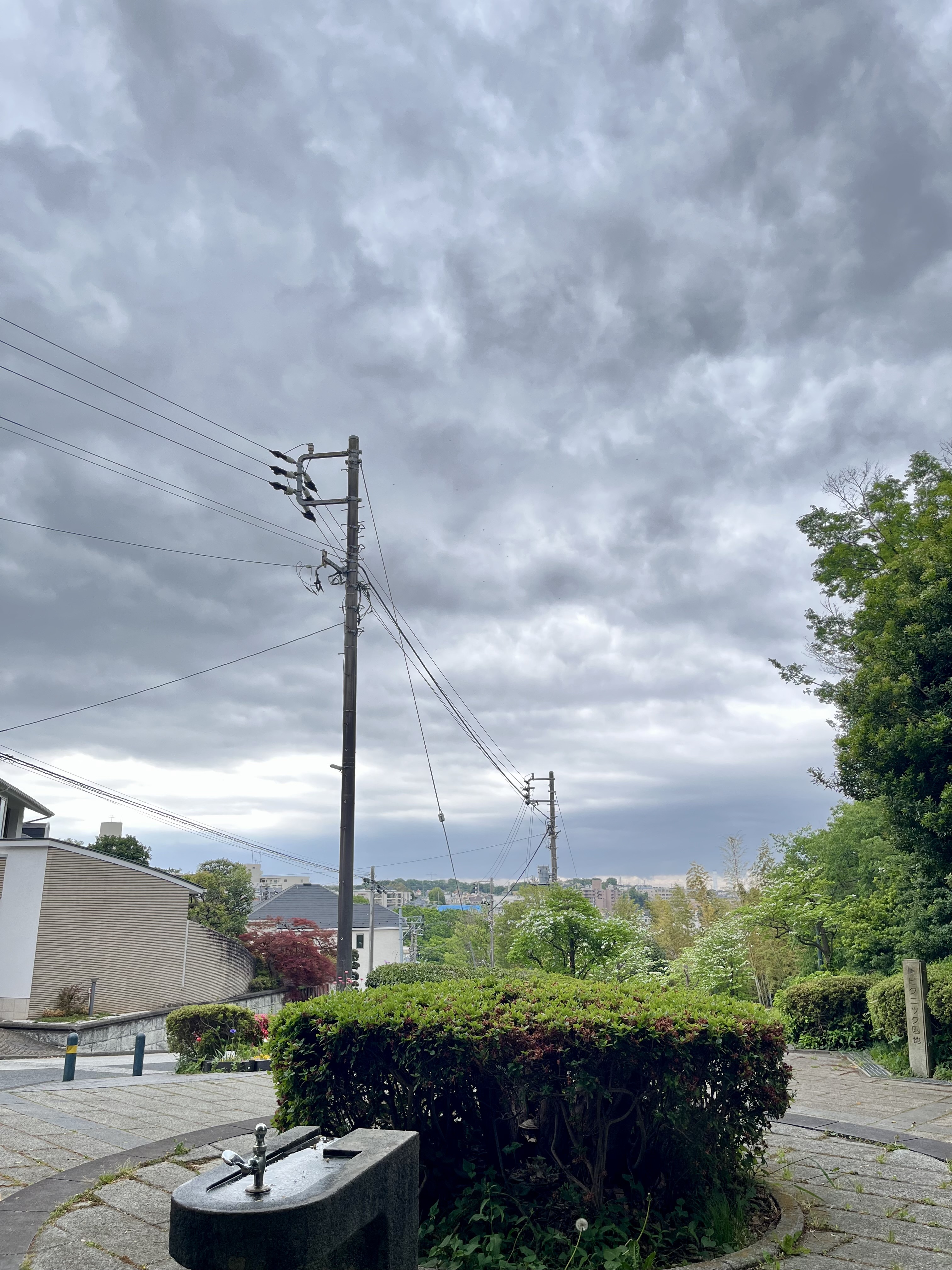 IMG_3071.jpeg
