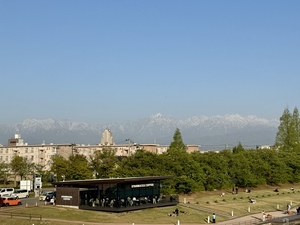IMG_3996.jpeg