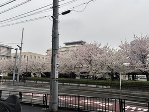 IMG_6837.jpeg