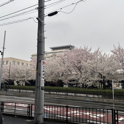 IMG_6837.jpeg
