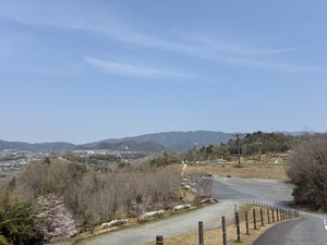 蜀咏悄_2026-03-28_11_55_04.jpg