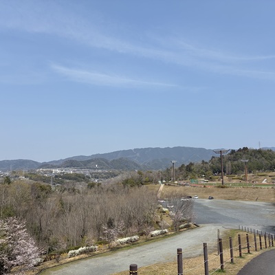 蜀咏悄_2026-03-28_11_55_04.jpg