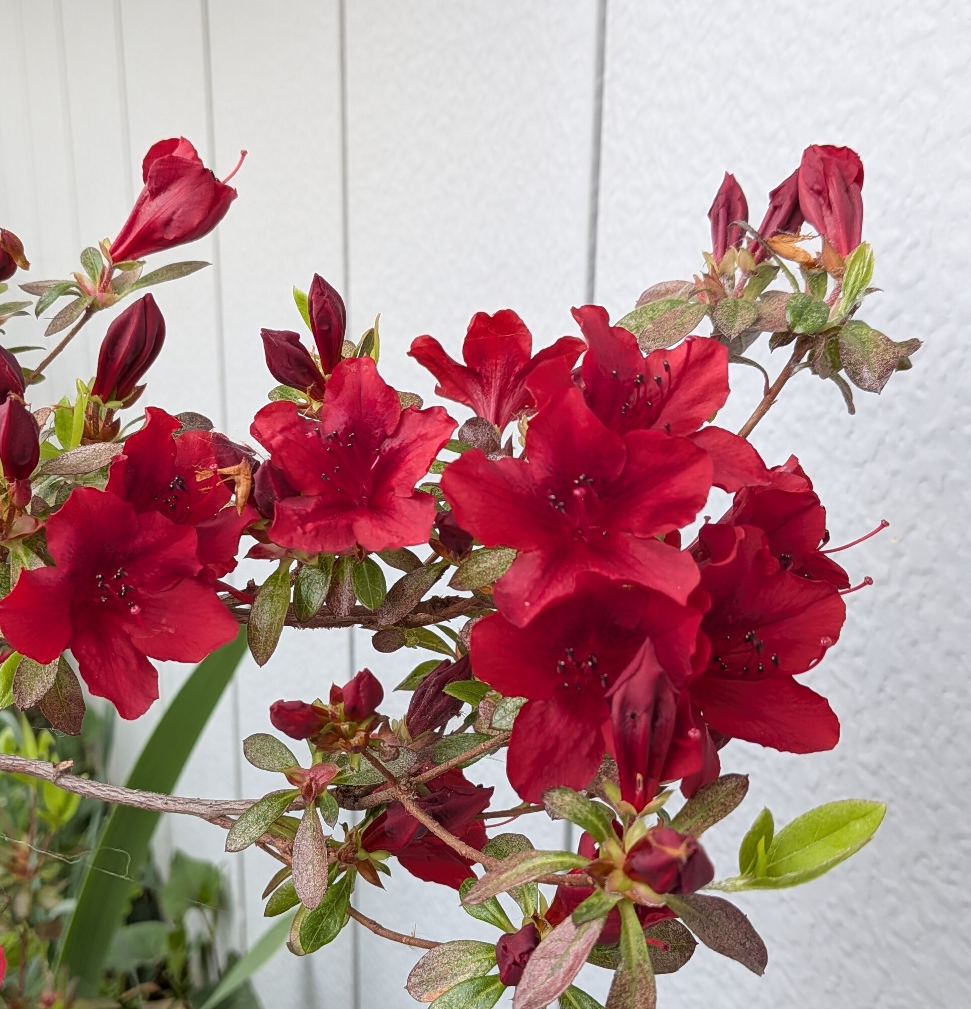 PXL_20260422_035354664.jpg