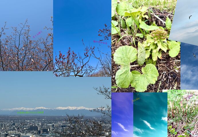 IMG_0526.jpeg