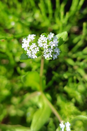 260408142730667_1.JPG
