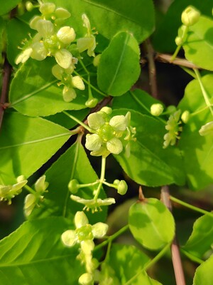260414163009739_1.JPG