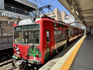 IMG_3747.jpeg