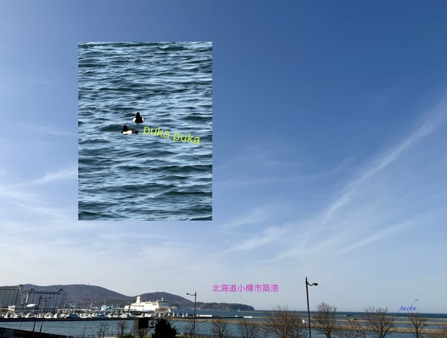 IMG_0528.jpeg