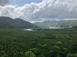 IMG_4275.jpeg