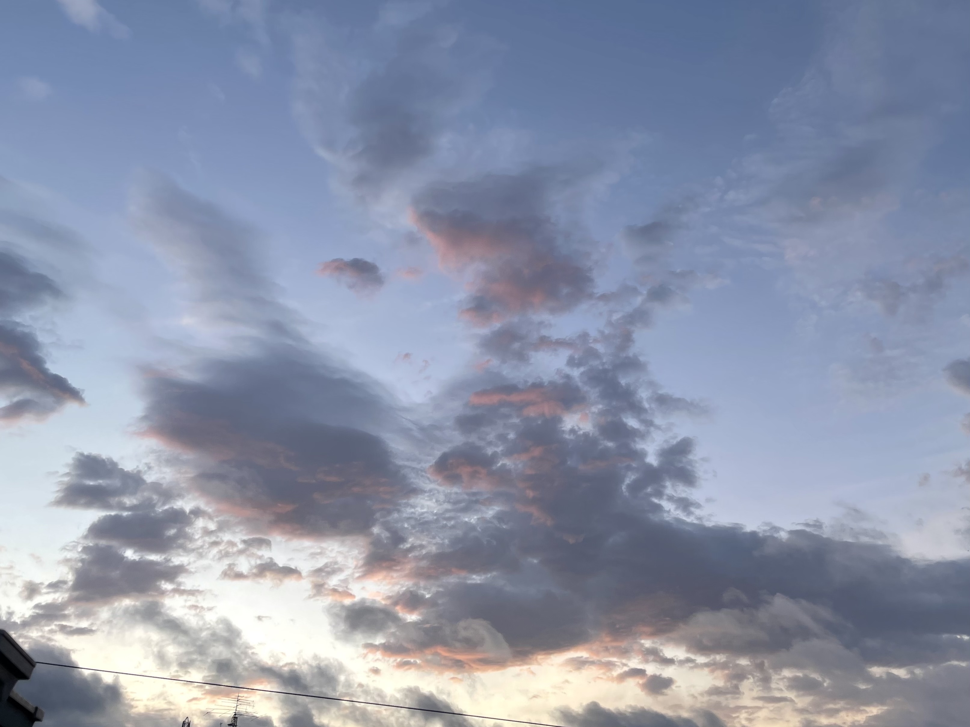 D509CBAE-1425-4C4C-9152-E583A38DC2BE.jpeg
