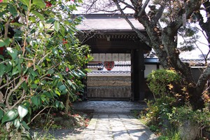 IMG_7067.jpg