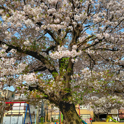 IMG_4102.jpeg