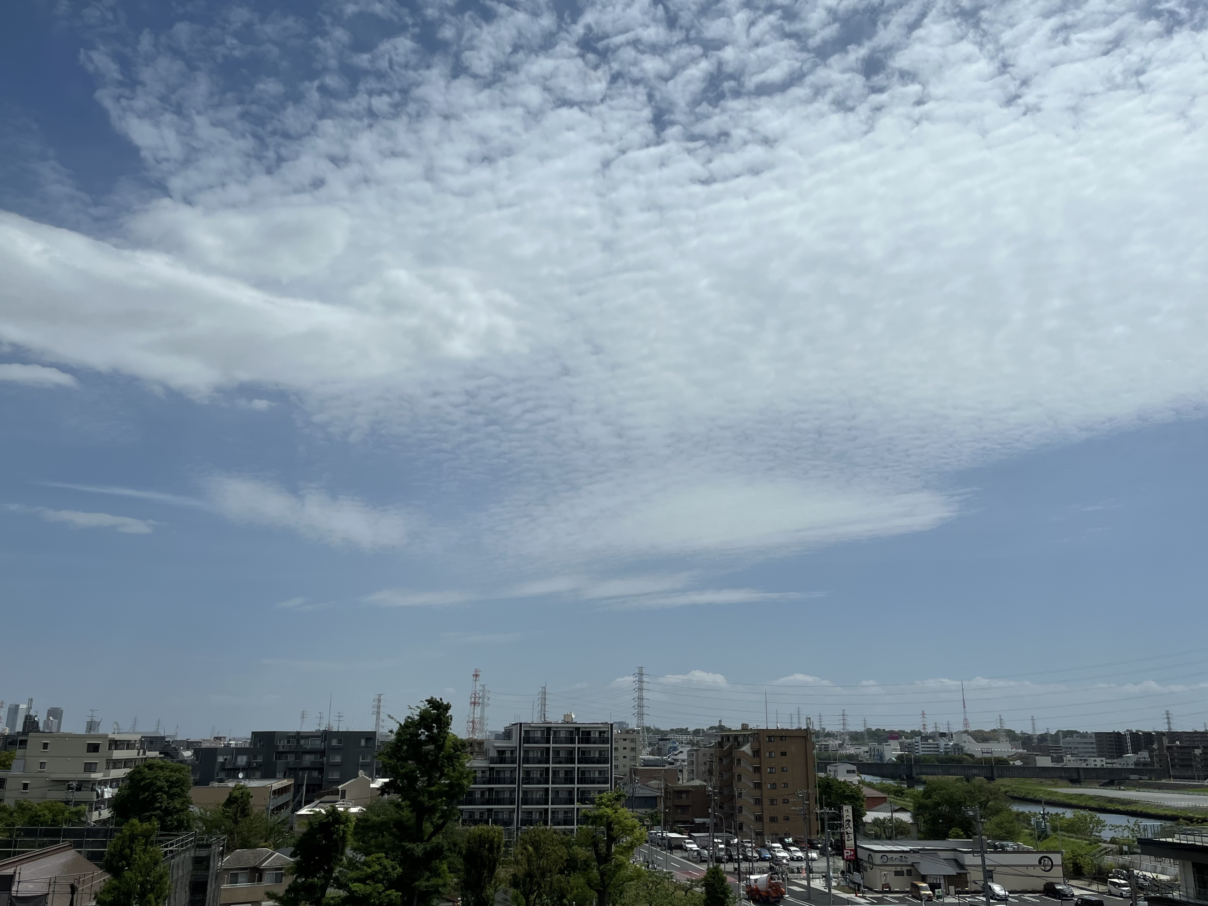 IMG_3079.jpeg