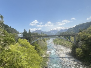 IMG_3754.jpeg